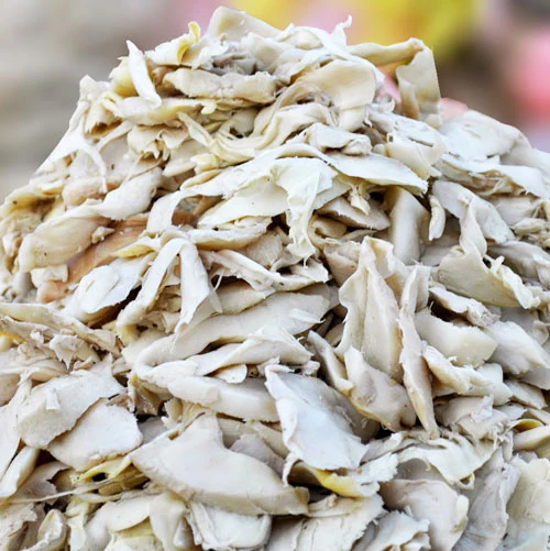 Manipur Soibum – Raw Fermented Bamboo Shoot, 500g | Versatile Northeast Ingredient