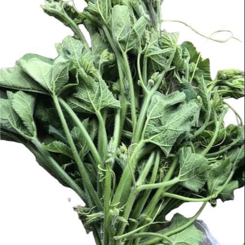 Pumpkin Leaves (Per Bunch)