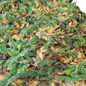 Nongmangkha/Kollhoupah Bitter Vegetables Fresh 100gm
