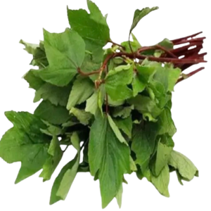 Roselle Leaf/Sougri/Gongura Leaves Per Bunch