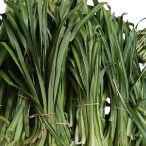 Big Chives Pic Differs