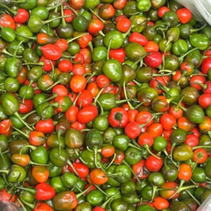 Nepali mirchi Dalle Khorsoni 150gm