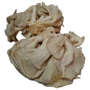 Oyster Mushroom Fresh 200gm
