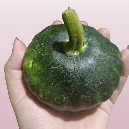 Tender Pumpkin 1kg – view 2