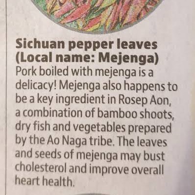 Sichuan Pepper Leaves (Michinga Patta / Singjol) – view 2