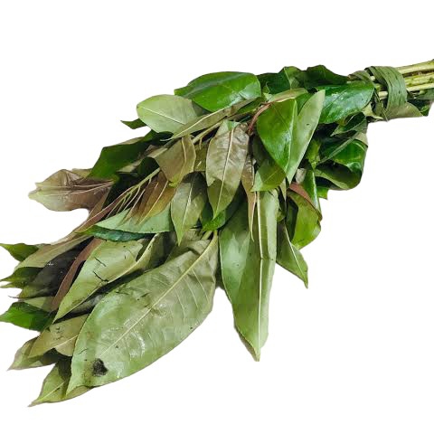 Sichuan Pepper Leaves (Michinga Patta / Singjol)