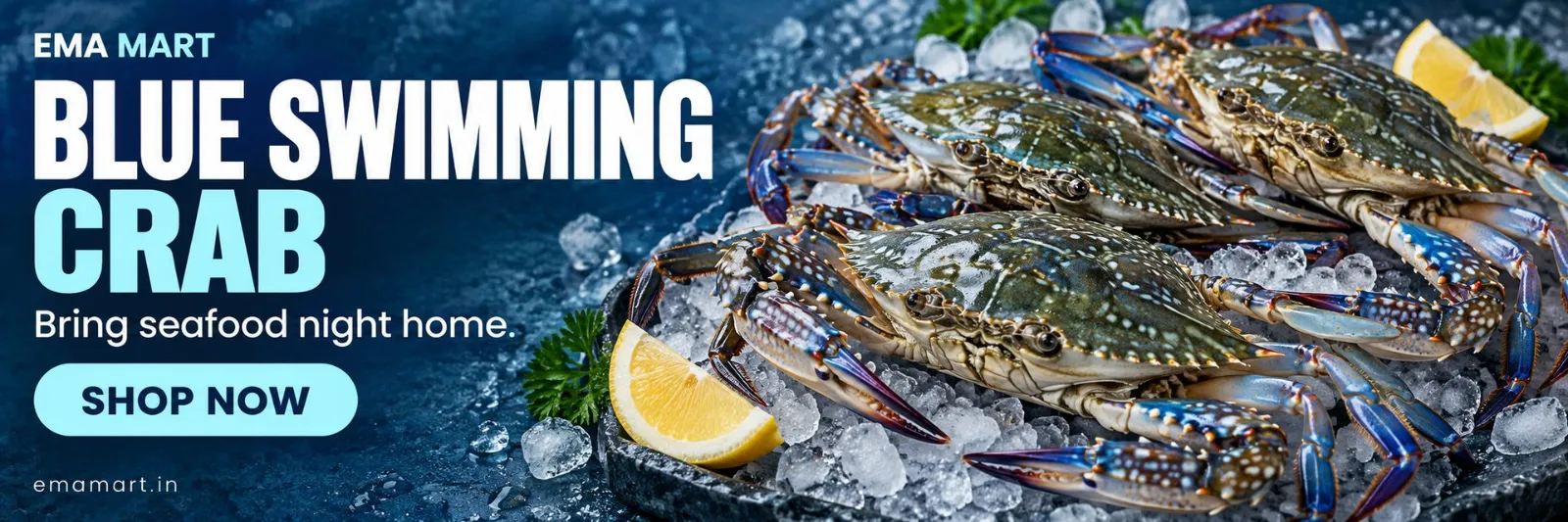 Blue Swimming Crab