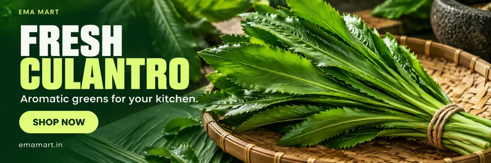Fresh Culantro