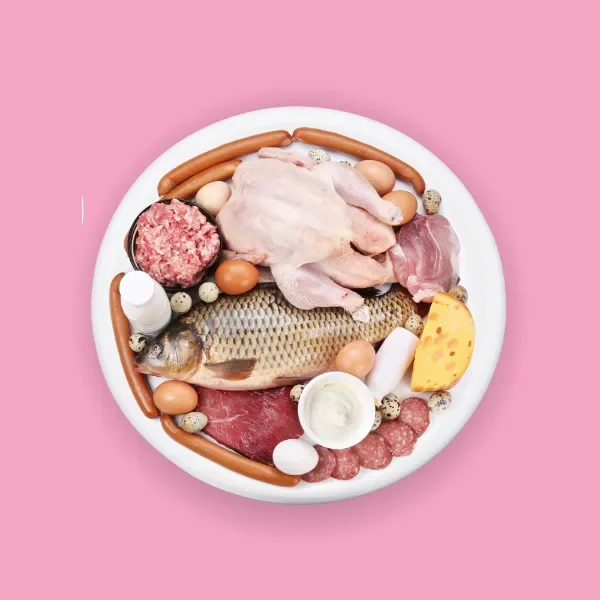Non Veg & Sea Food